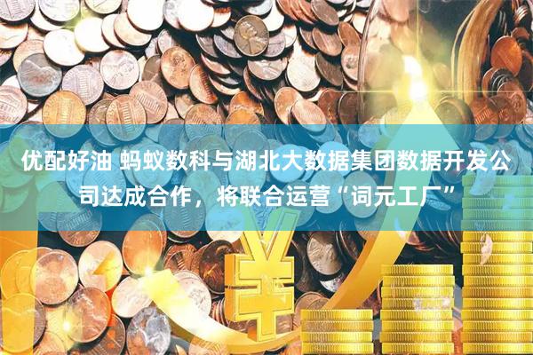 优配好油 蚂蚁数科与湖北大数据集团数据开发公司达成合作，将联合运营“词元工厂”